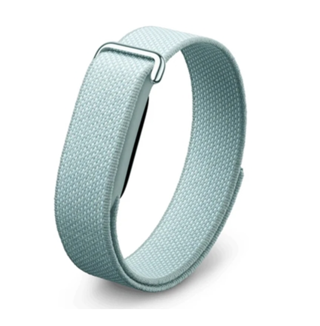 Google Fitbit Air Screenless Activity Tracker Fog