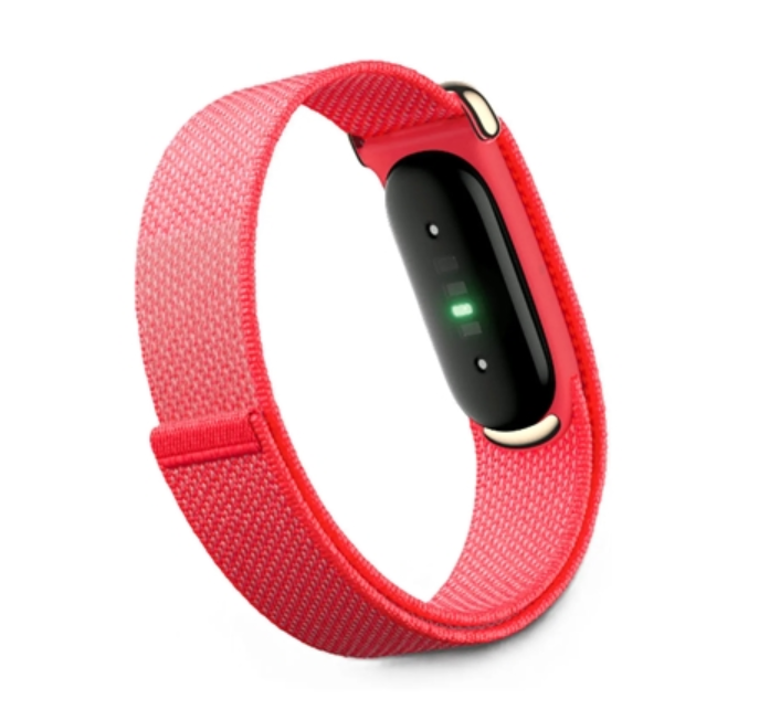 Google Fitbit Air Screenless Activity Tracker Berry - الصورة 4